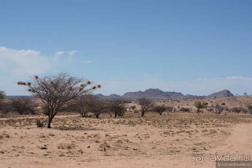 Африканский калейдоскоп. Часть 9