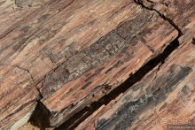 Африканский калейдоскоп. Часть 9