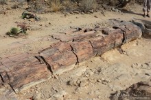 Африканский калейдоскоп. Часть 9