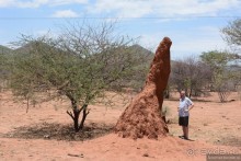 Африканский калейдоскоп. Часть 9