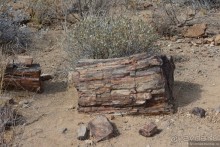 Африканский калейдоскоп. Часть 9