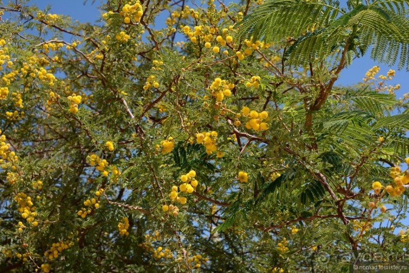 Африканский калейдоскоп. Часть 9