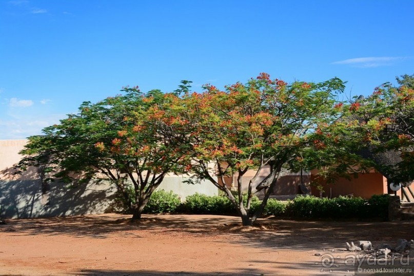 Африканский калейдоскоп. Часть 9