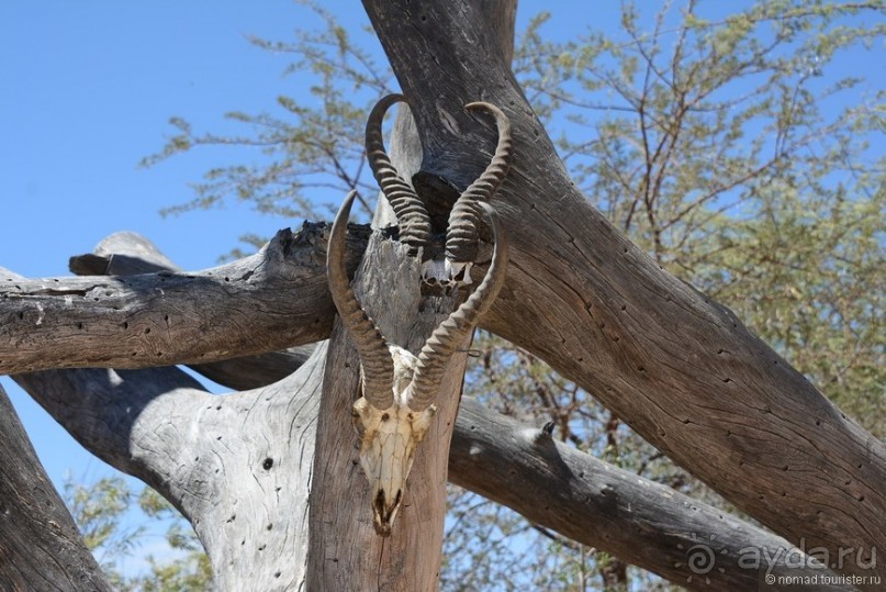 Африканский калейдоскоп. Часть 9