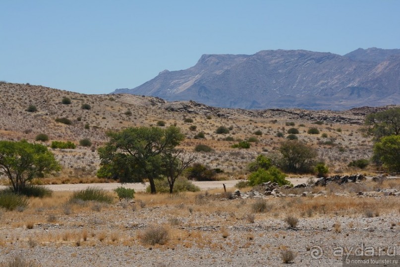 Африканский калейдоскоп. Часть 9