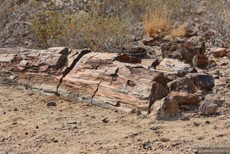 Африканский калейдоскоп. Часть 9