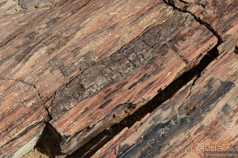 Африканский калейдоскоп. Часть 9