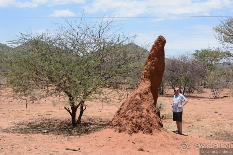 Африканский калейдоскоп. Часть 9