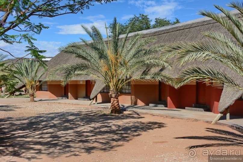 Африканский калейдоскоп. Часть 9