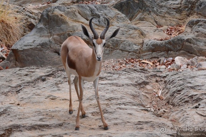 Африканский калейдоскоп. Часть 9