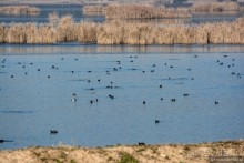 Балканское кольцо. Часть 3