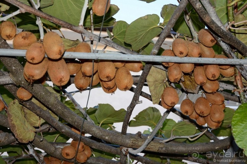 Балканское кольцо. Часть 3