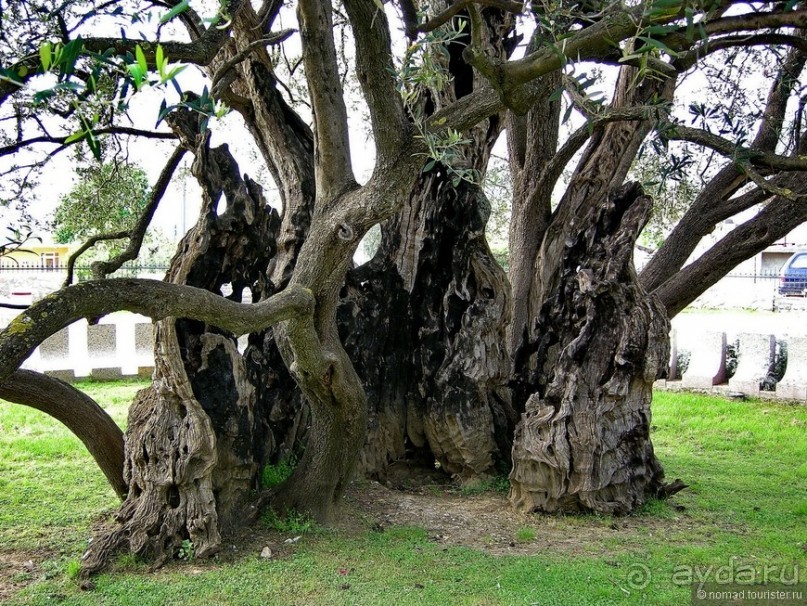 Черногорские хроники. Возвращение. Часть 4
