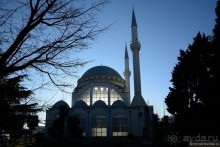 Балканское кольцо. Часть 11