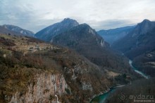 фото Жабляка