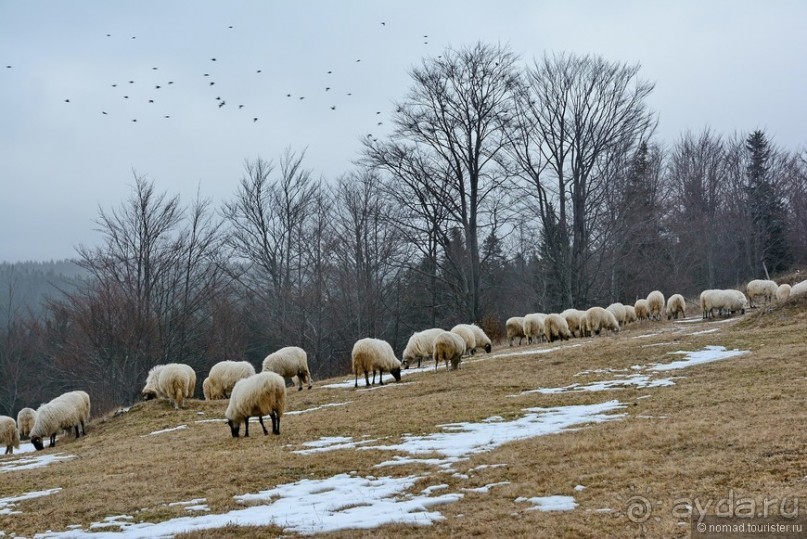 Балканское кольцо. Часть 8