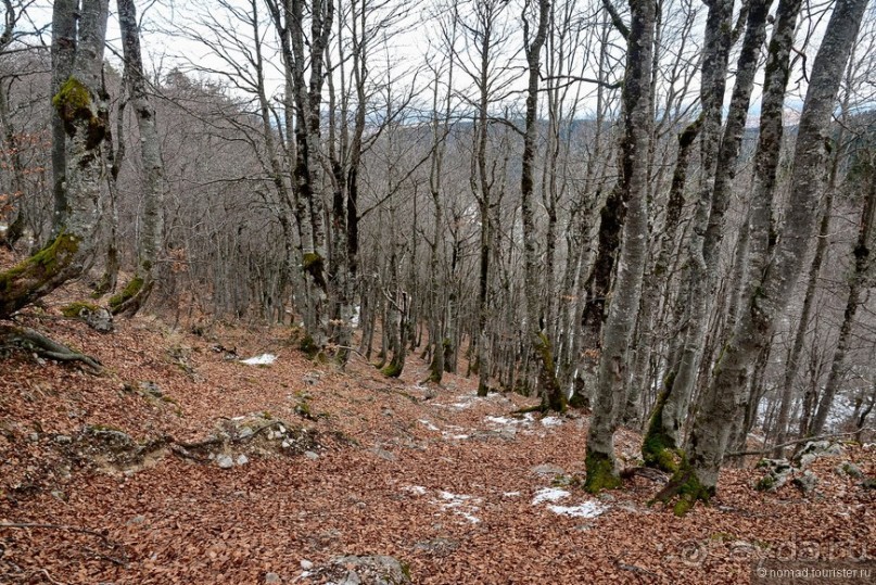 Балканское кольцо. Часть 8