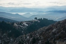 фото Жабляка