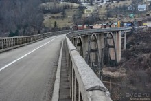 фото Жабляка