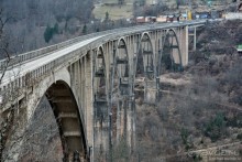 фото Жабляка