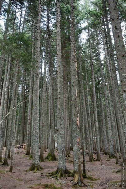 Балканское кольцо. Часть 8