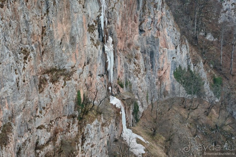 фото Жабляка