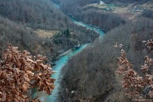 фото Жабляка