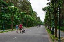 Рига звериная