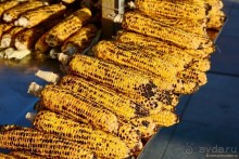 Прогулки по Стамбулу. Фатих