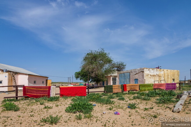 Экстаз № 5. Сенека-Актау-Актолагай