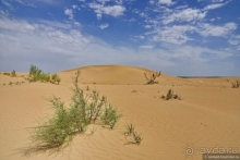 Экстаз № 5. Сенека-Актау-Актолагай