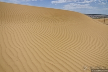 Альбом истории "Экстаз № 5. Сенека-Актау-Актолагай"