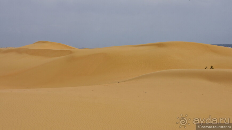 Альбом истории "Экстаз № 5. Сенека-Актау-Актолагай"