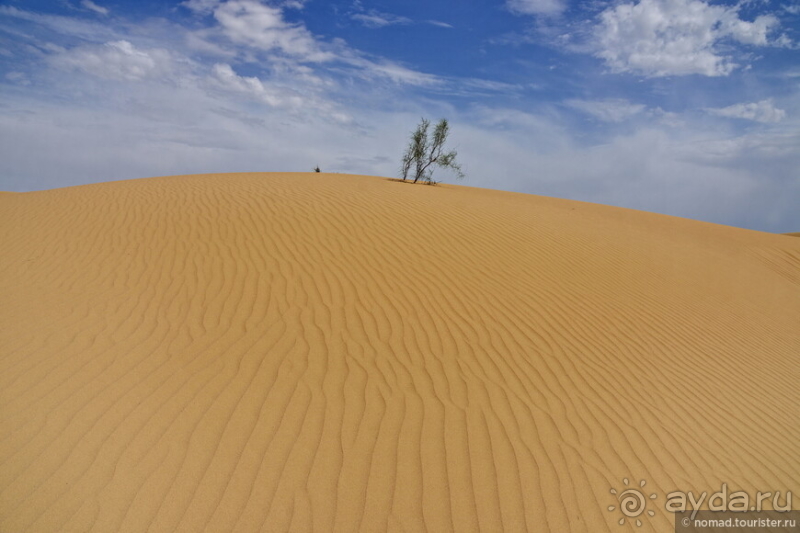 Экстаз № 5. Сенека-Актау-Актолагай