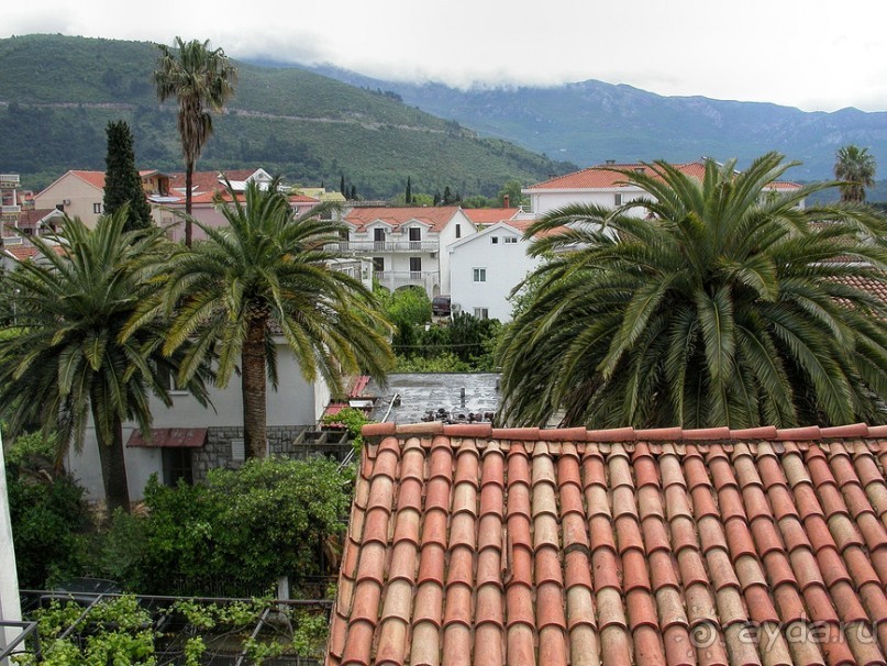 Франшиза или жизнь. На Ситроене по Черногории. Часть 1