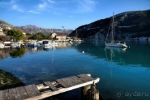 Балканские птички