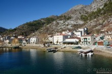 Балканские птички