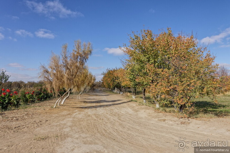 Сафари по-узбекски