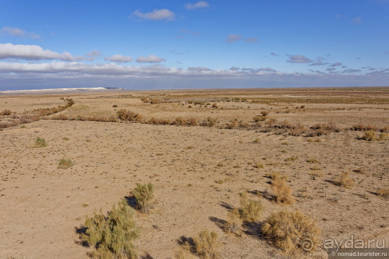 Сафари по-узбекски