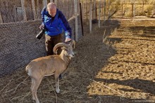 Сафари по-узбекски