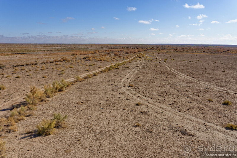 Сафари по-узбекски
