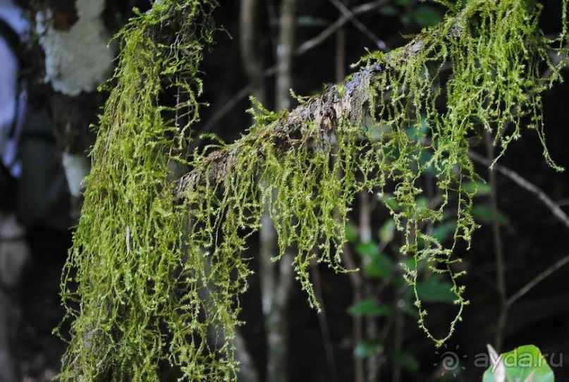 Кения, Свит Вотерз