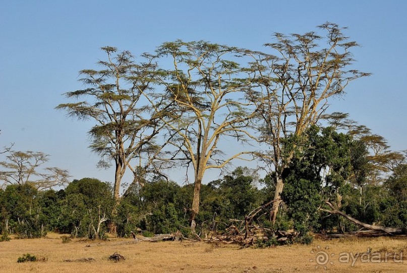 Кения, Свит Вотерз