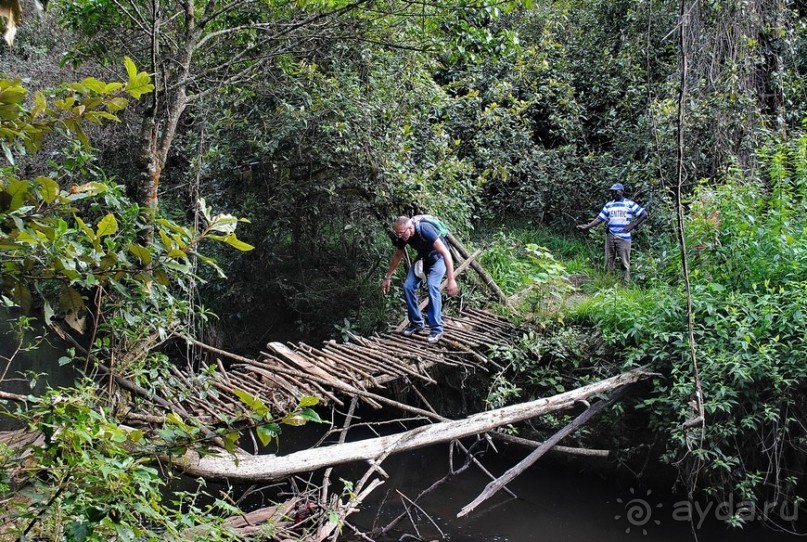 Кения, Свит Вотерз