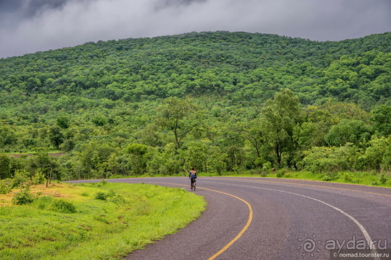 Замбия: Дорога, Луангва, птицы, звери и люди