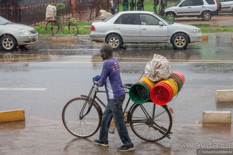Замбия: Дорога, Луангва, птицы, звери и люди