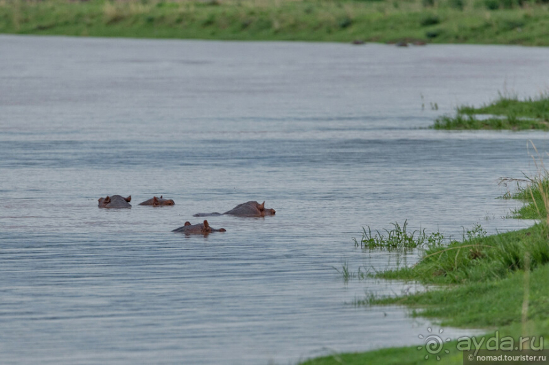 Замбия: Дорога, Луангва, птицы, звери и люди