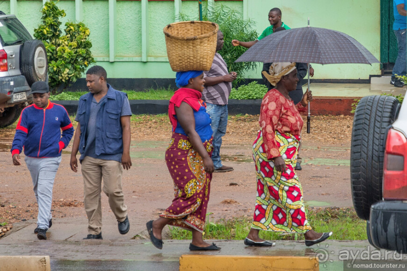 Замбия: Дорога, Луангва, птицы, звери и люди