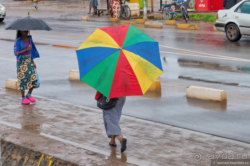 Замбия: Дорога, Луангва, птицы, звери и люди