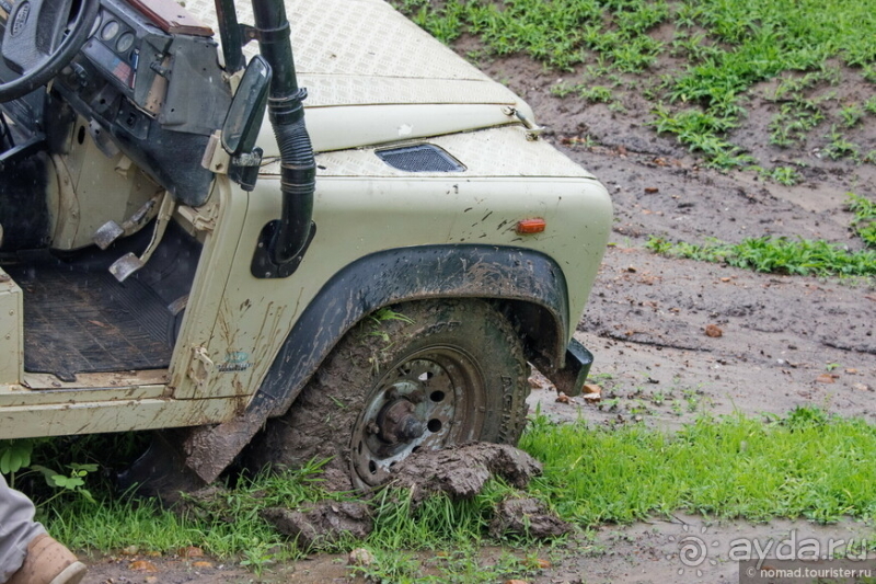 Замбия: Дорога, Луангва, птицы, звери и люди